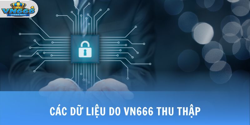 Chính Sách Bảo Mật 3 Các dữ liệu do VN666 thu thập