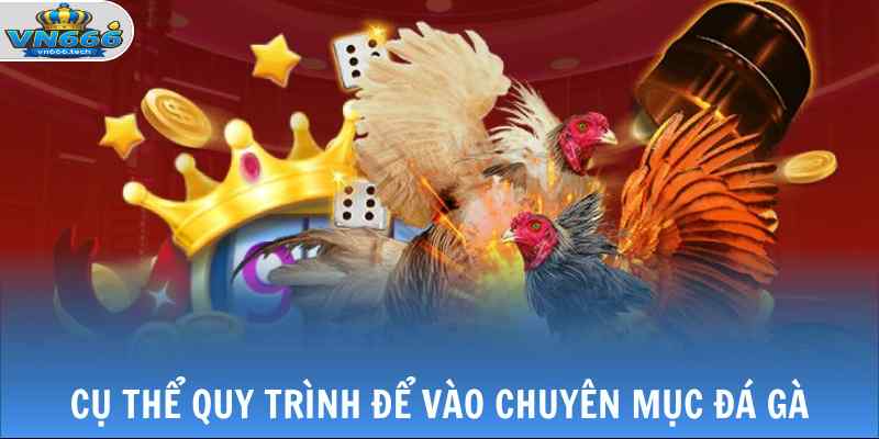Đá Gà VN666 3 Cụ thể quy trình để vào chuyên mục đá gà