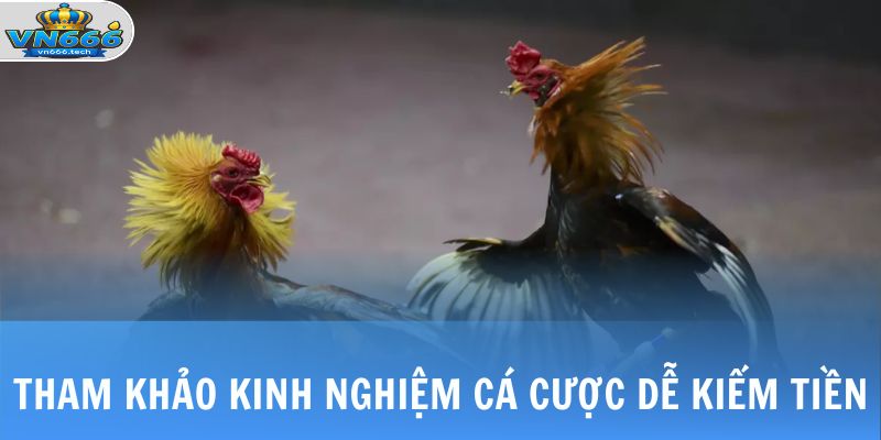 Đá Gà SV388 - Sảnh Cược Cung Cấp Link Full HD 24/7 4 Tham khảo kinh nghiệm cá cược dễ kiếm tiền