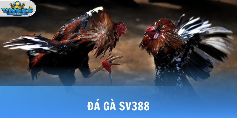 da ga sv388