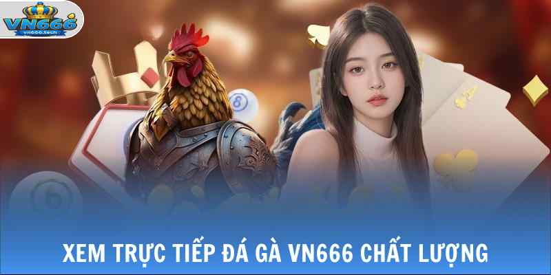 Đá Gà VN666 1 Xem trực tiếp đá gà VN666 chất lượng