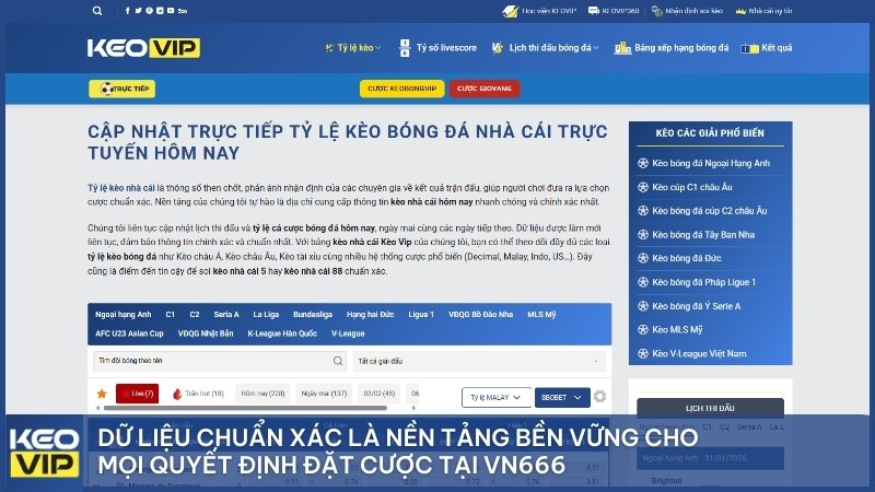 Dữ liệu chuẩn xác là nền tảng bền vững cho mọi quyết định đặt cược tại VN666.